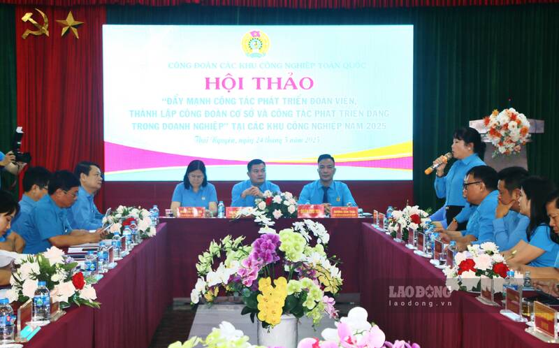Hoi thao