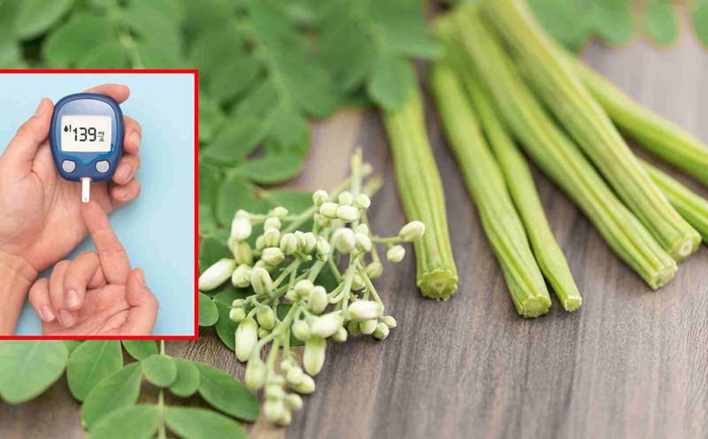 Surprised with the benefits of balancing blood sugar and maintaining strong bones of Moringa. Graphics: Thach Lam