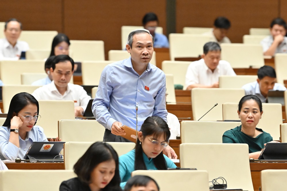Dai bieu Phan Duc Hieu. Anh: Pham Dong