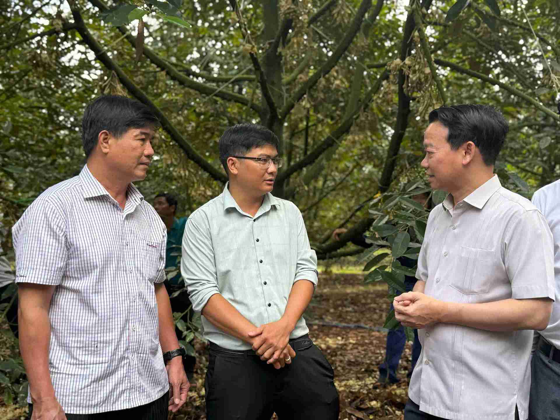 Bo truong Bo Nong nghiep va Moi truong danh gia cao chat luong cay sau rieng o Dak Lak. Anh: Bao Trung