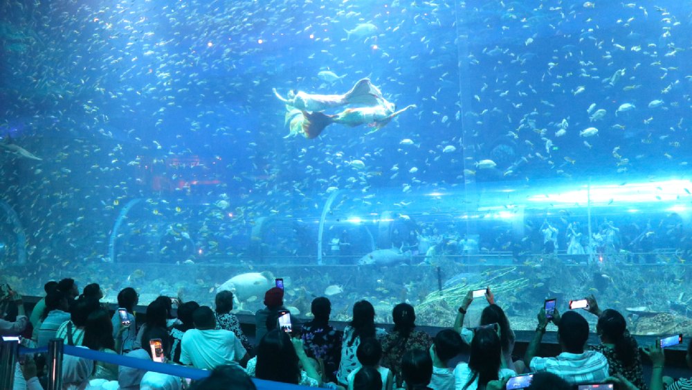 La delegacion de Famtrip tuvo 3 dias de experimentar muchos destinos y servicios de alta clase en Phu Quoc Pearl Island. Foto: Xuan NHI