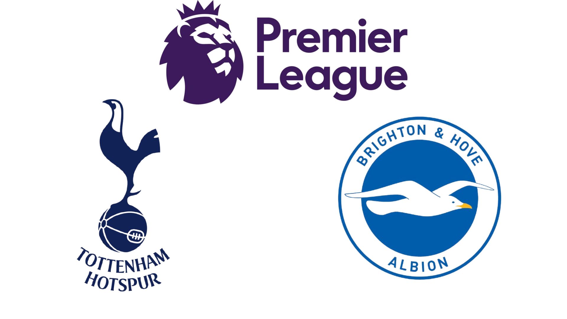 Tottenham se enfrento a Brighton en la Premier League. Graficos: Van An