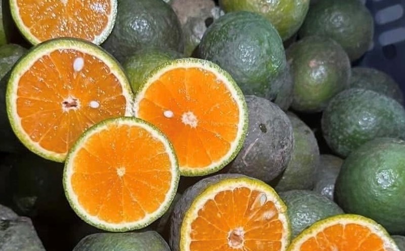 Oranges are a fruit that supplements vitamin C, which helps reduce uric acid. Photo: Kieu Vu