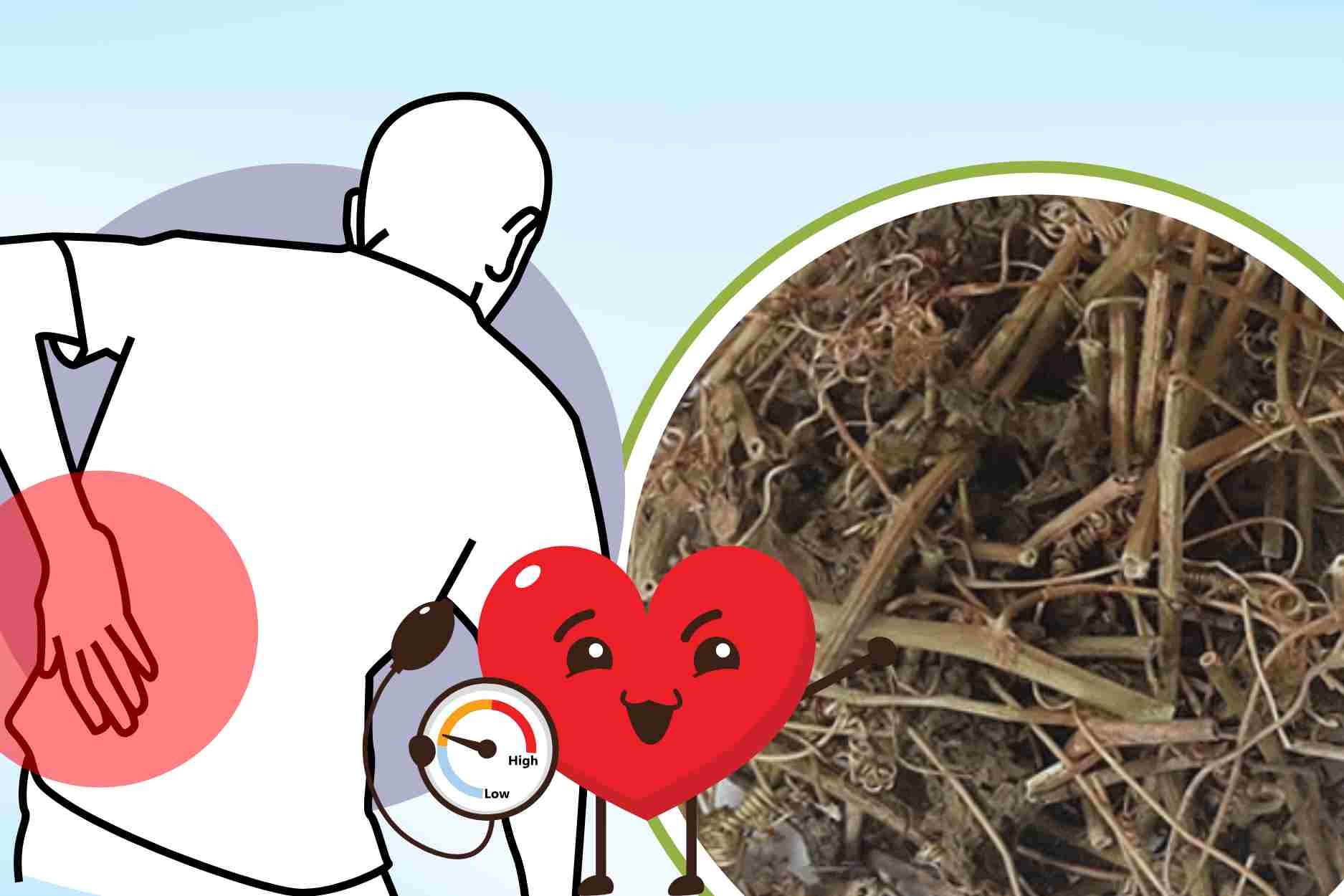 Anesthetic drugs, pain relievers and support blood pressure effectively