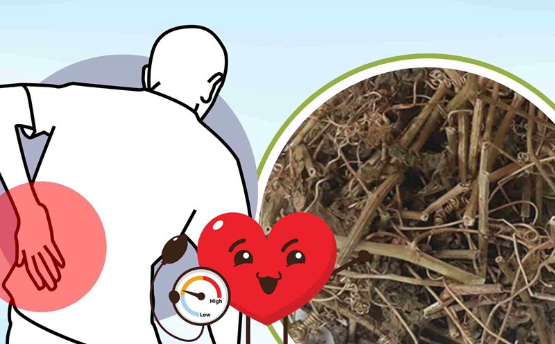 Anesthetic drugs, pain relievers and support blood pressure effectively