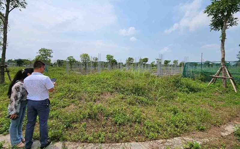 It is necessary to resolutely handle acts of creating virtual prices, speculation, and profiteering manipulation in land auctions. Photo: Cao Nguyen.
