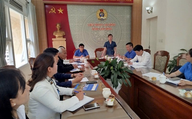 Ms. Tran Thi Thanh Ha - Member of the Presidium, Head of the Department of Policy, Law and Labor Relations of the Vietnam General Confederation of Labor is the head of the monitoring delegation. Photo: The Hung