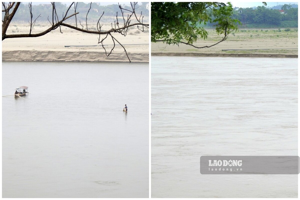 Nơi từng ghi nhận có người dân đứng giữa dòng sông bắt cá nay nước sông đã dâng cao gần bằng bãi bồi. Ảnh: Tô Công.