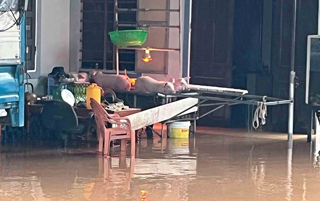 Mưa lớn gây ngập sâu tại Hà Tĩnh, người dân bị thiệt hại nhiều tài sản