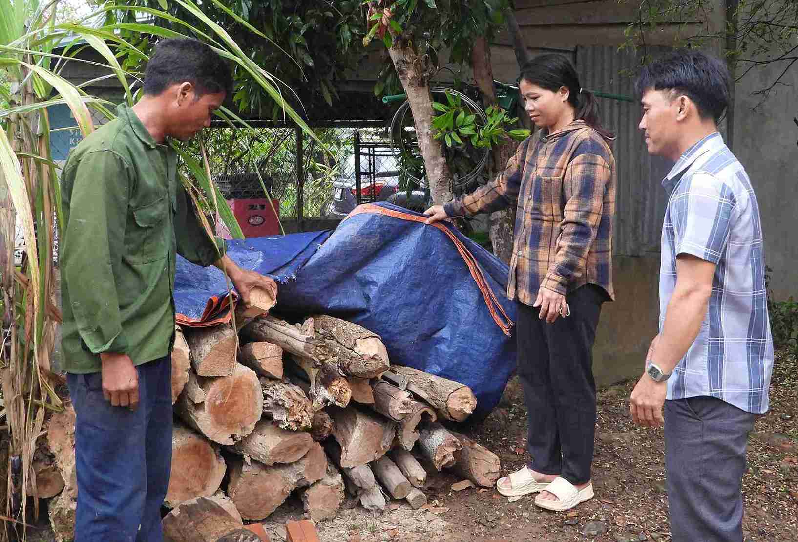 Nhờ sự hỗ trợ của các trưởng buôn, đồng bào dân tộc thiểu số ở huyện đã chịu khó nỗ lực lao động sản xuất. Ảnh: Thanh Tuấn