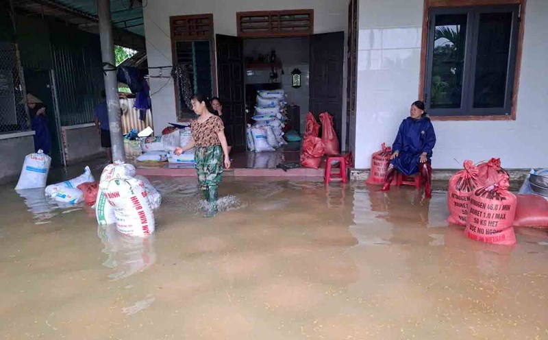 Mr. Que's family in Ky Cac village, Tan Lam Huong commune had many tons of rice soaked due to water flooding deep into their house. Photo: Tran Tuan.