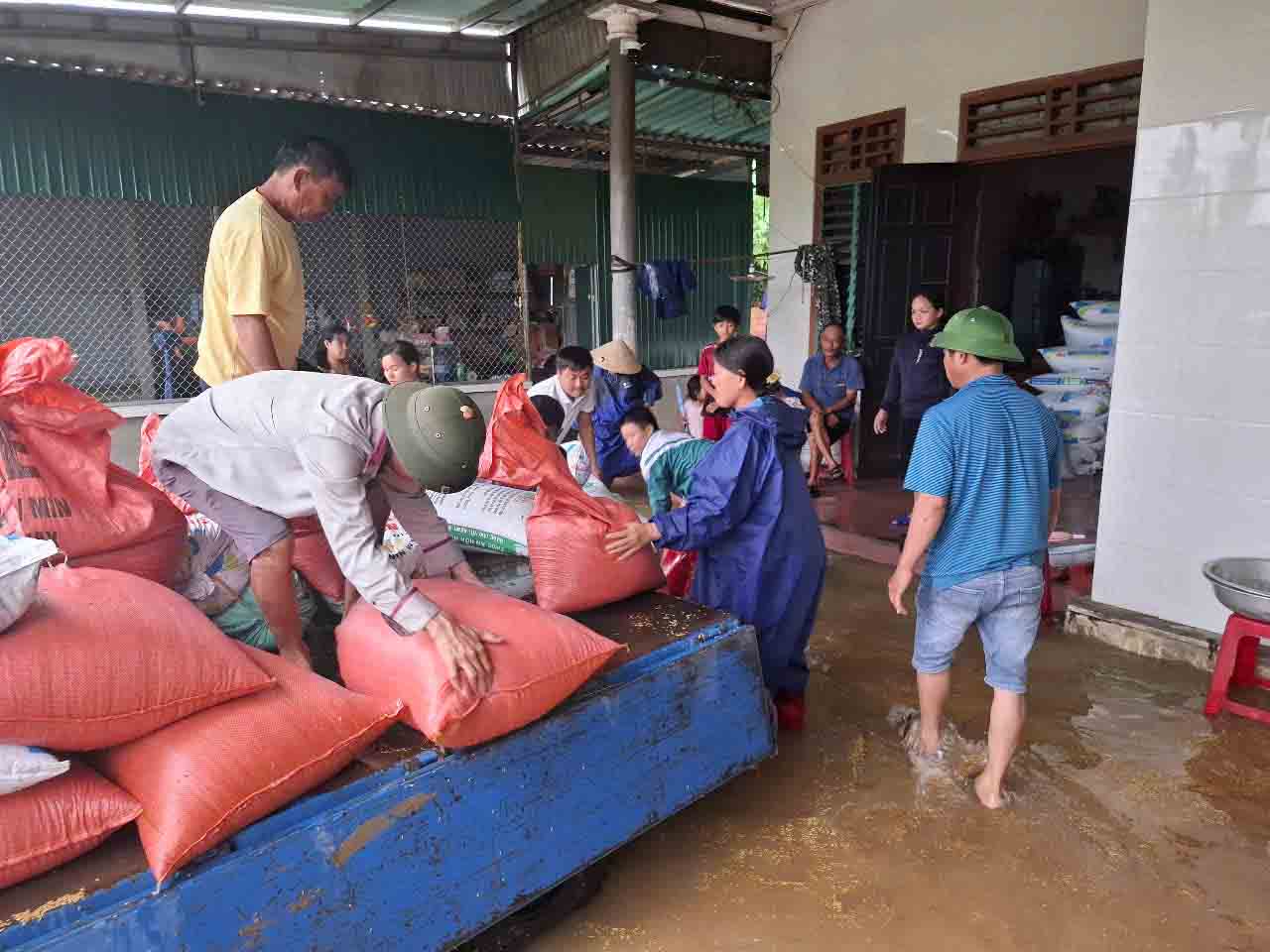 Nhieu nguoi den giup gia dinh ong Que cho lua di phoi nho o nha xuong cua mot ho dan trong thon. Anh: Tran Tuan.