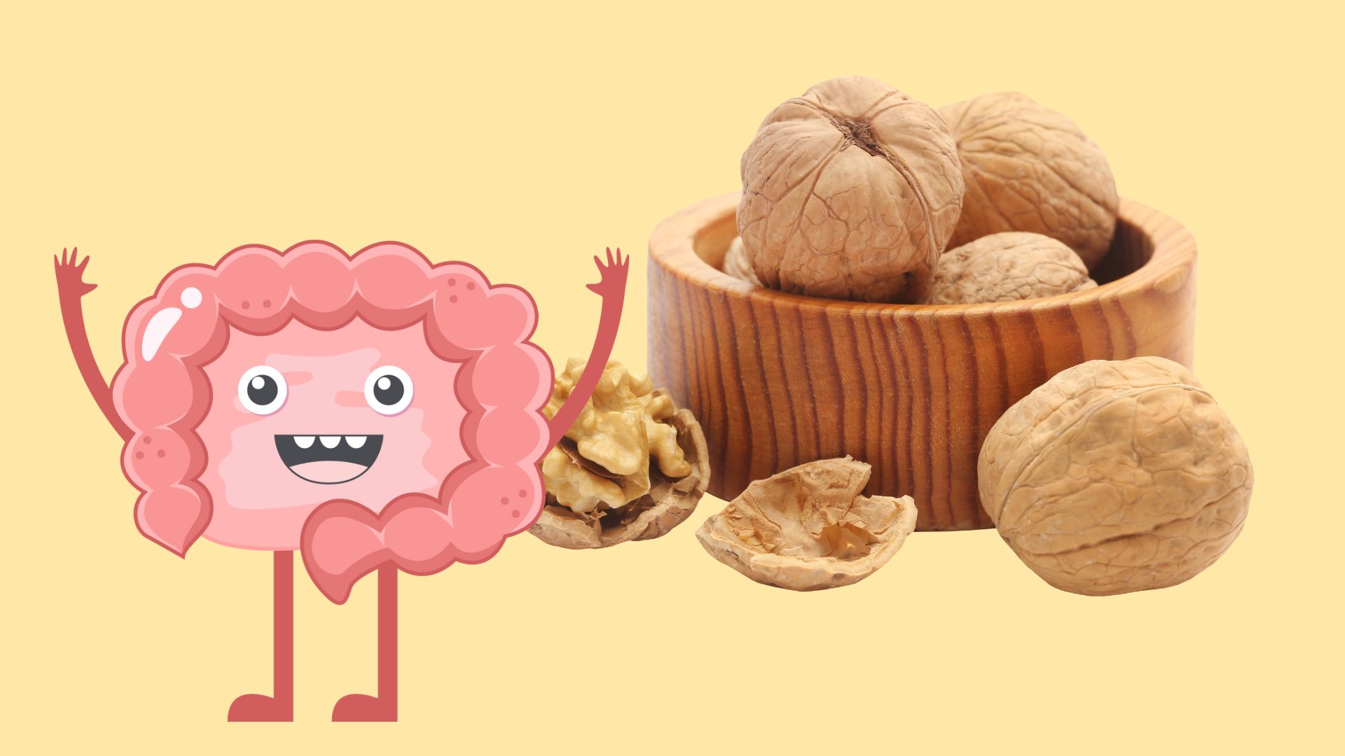 Walnuts help improve intestinal health. Graphics: Thanh Thanh