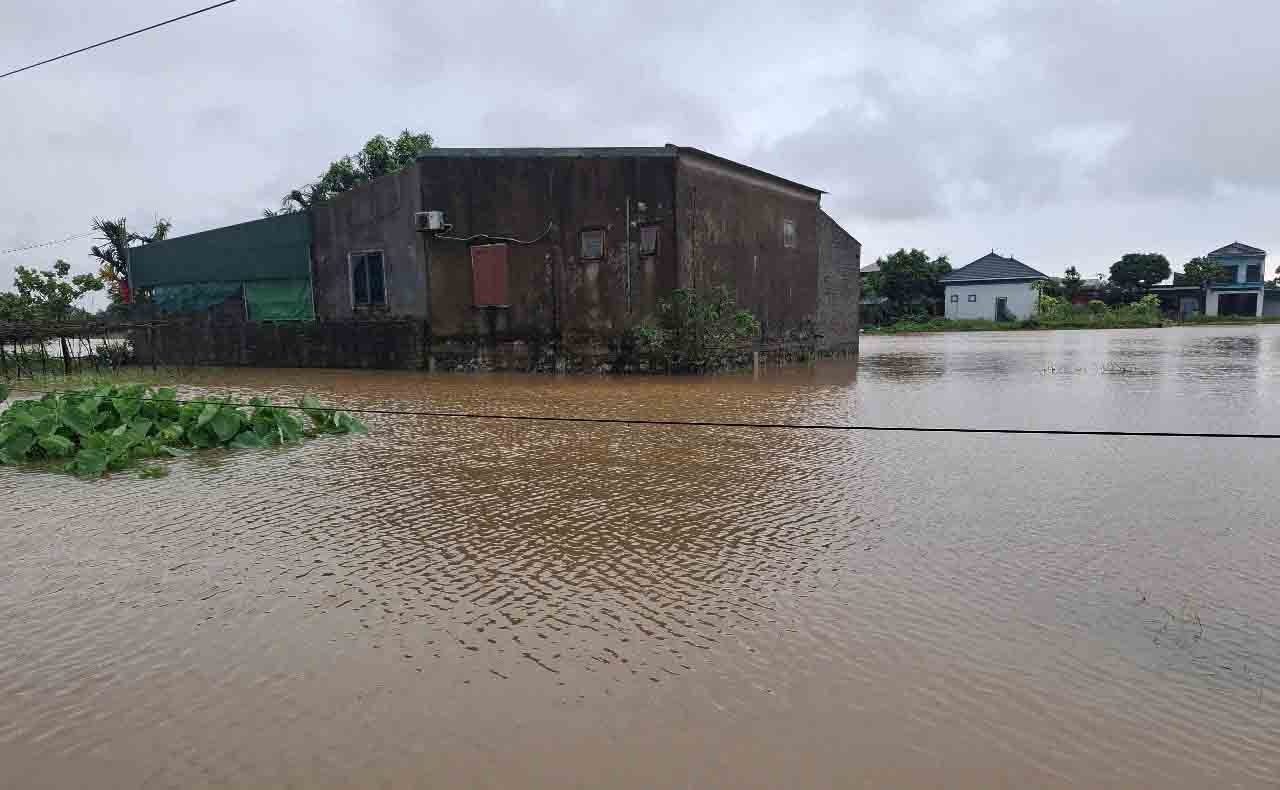 Mua lon gay ngap o xa Tan Lam Huong. Anh: Tran Tuan.