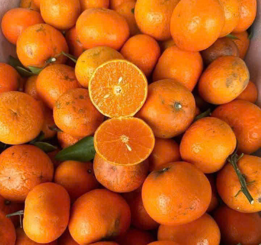 El compromiso con los peces grasos puede soportar hipoglucemia. Foto: Quang Minh.