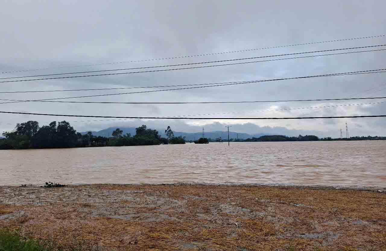 Canh dong o xa Nam Dien, huyen Thach Ha ngap sau. Anh: Tran Tuan.