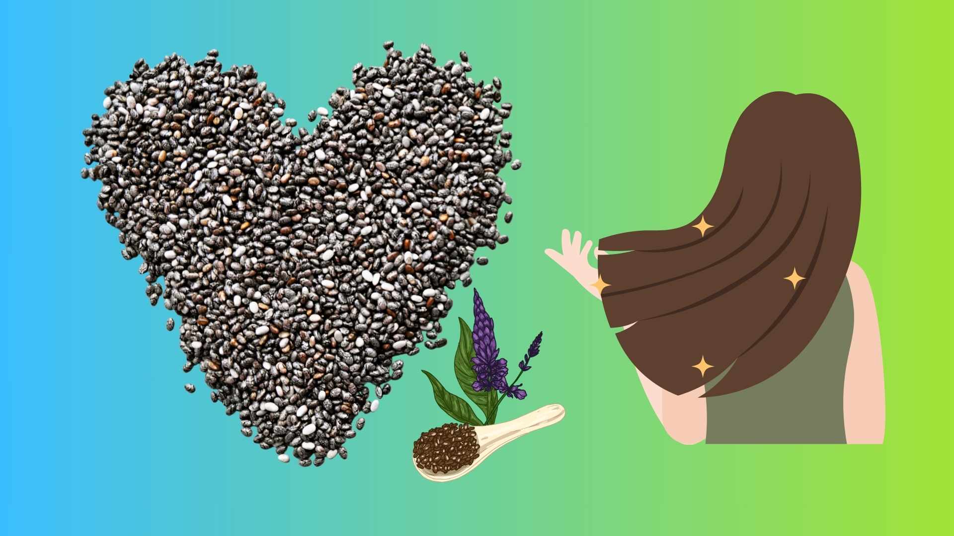 5 ways to use chia seeds for hair growth. Graphics: Dinh Dinh