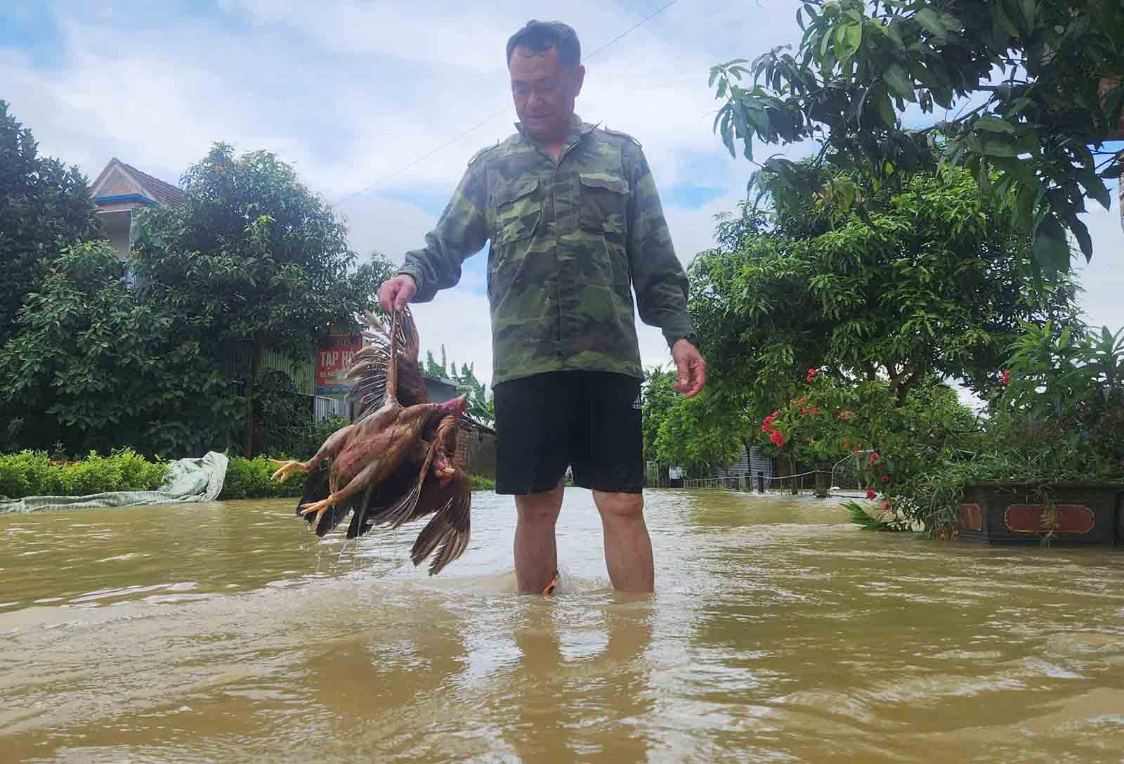 Gia cam cua nguoi dan bi chet vi mua lu. Anh: Tran Tuan.
