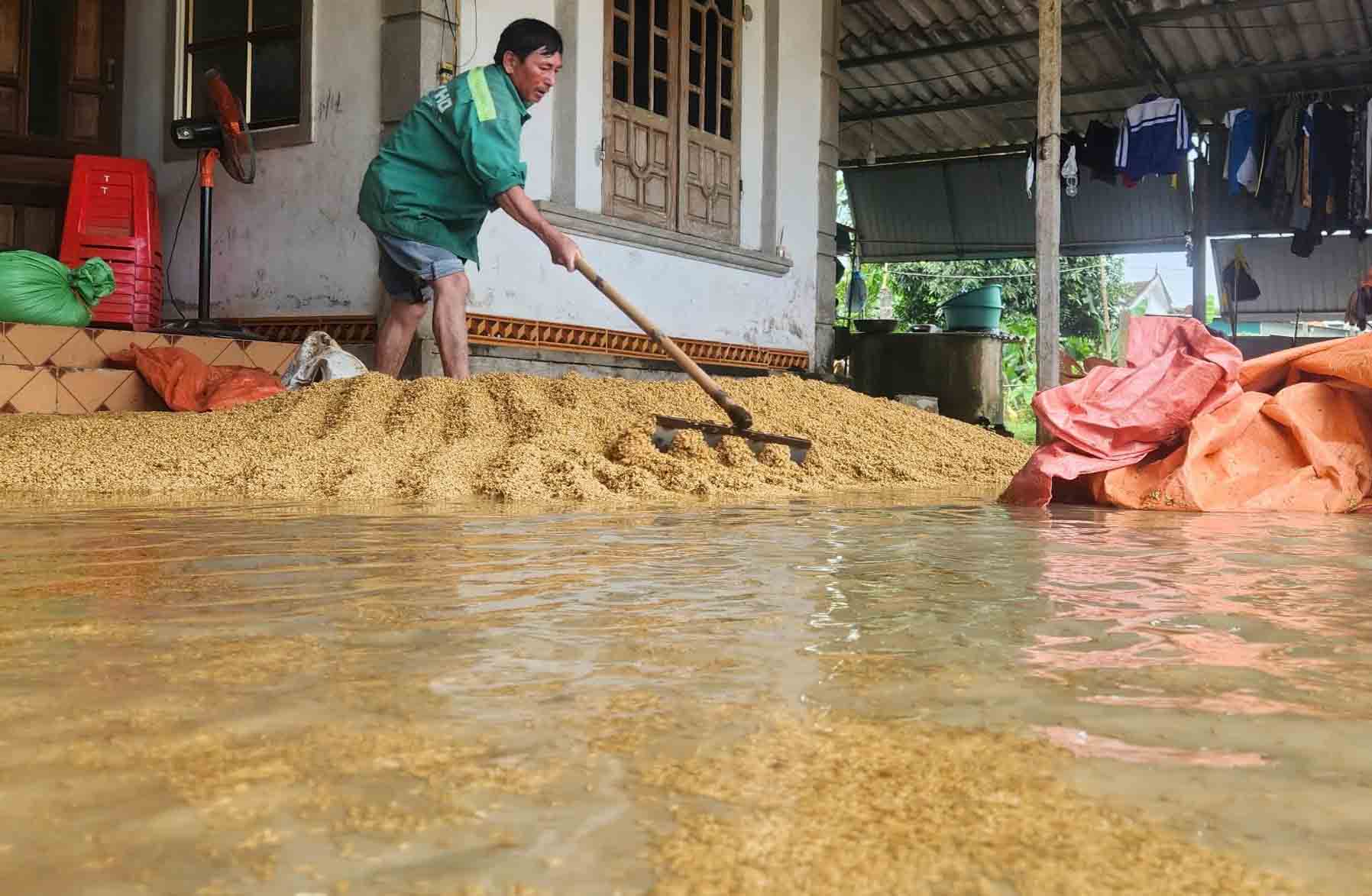 Rice ha cosechado la casa del pueblo en CAM Due Commune, mojado debido a las inundaciones. Foto: Tran Tuan.