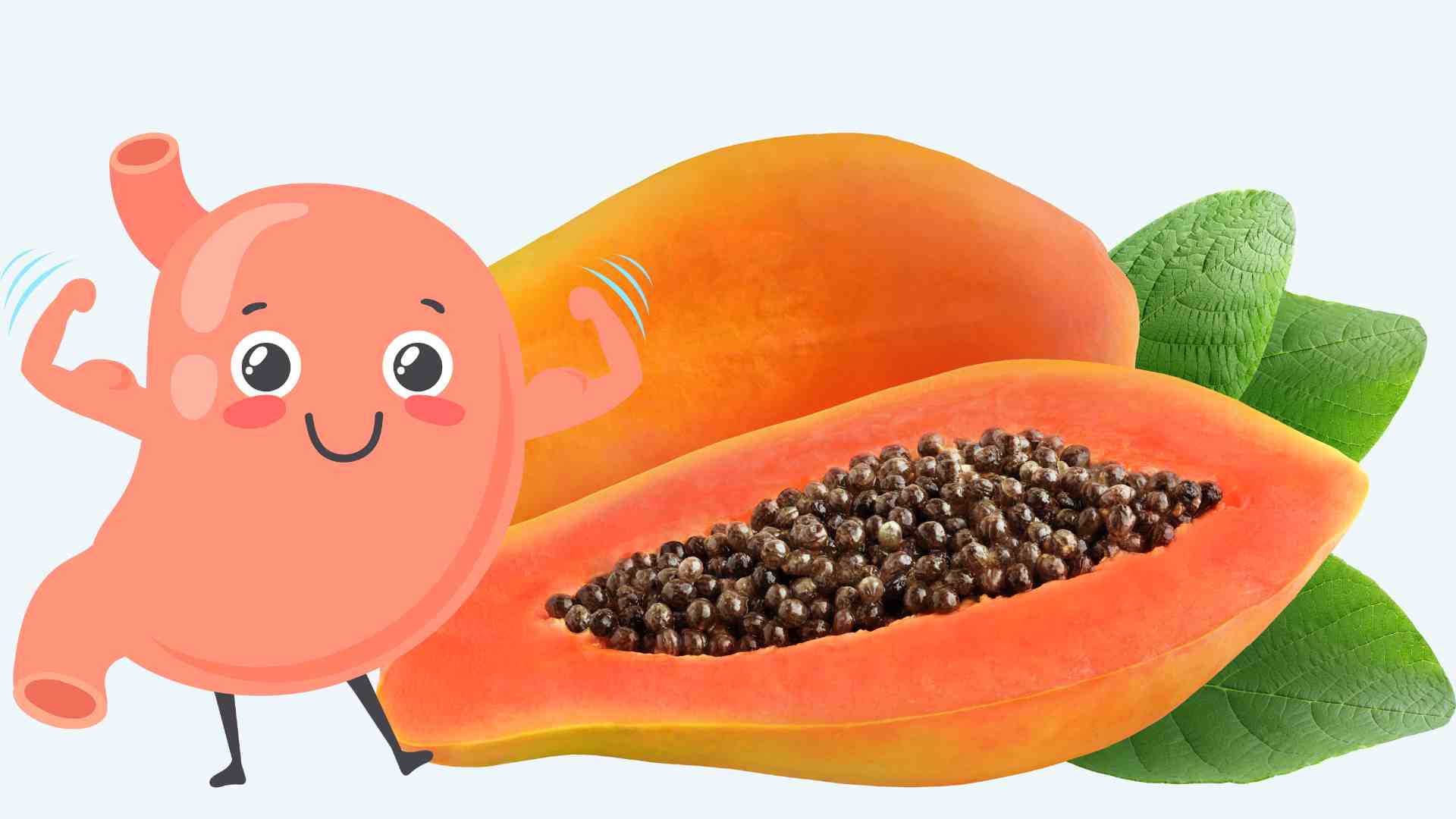 Eating papaya properly is good for the stomach. Graphics: Ha May