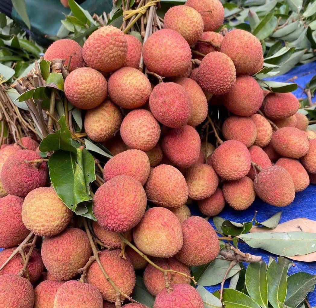 Eating fabric properly helps heal liver damage. Photo: Quang Minh.