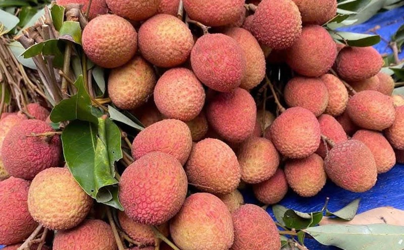 Eating fabric properly helps heal liver damage. Photo: Quang Minh.