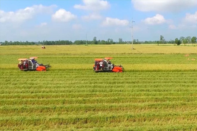 Trường hợp chuyển đổi đất n&ocirc;ng nghiệp được miễn thuế v&agrave; lệ ph&iacute;