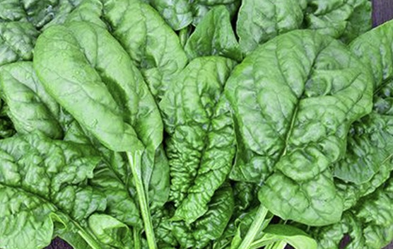Leafy greens can increase blood sugar when processed incorrectly. Photo: Kieu Vu