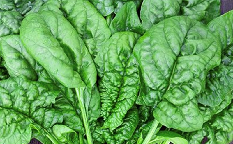 Leafy greens can increase blood sugar when processed incorrectly. Photo: Kieu Vu