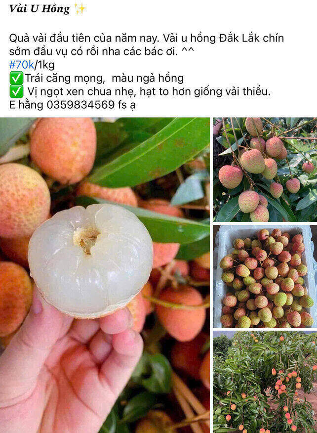 Vai u hong chin som tran cho mang, gia re bat ngo. Anh chup man hinh