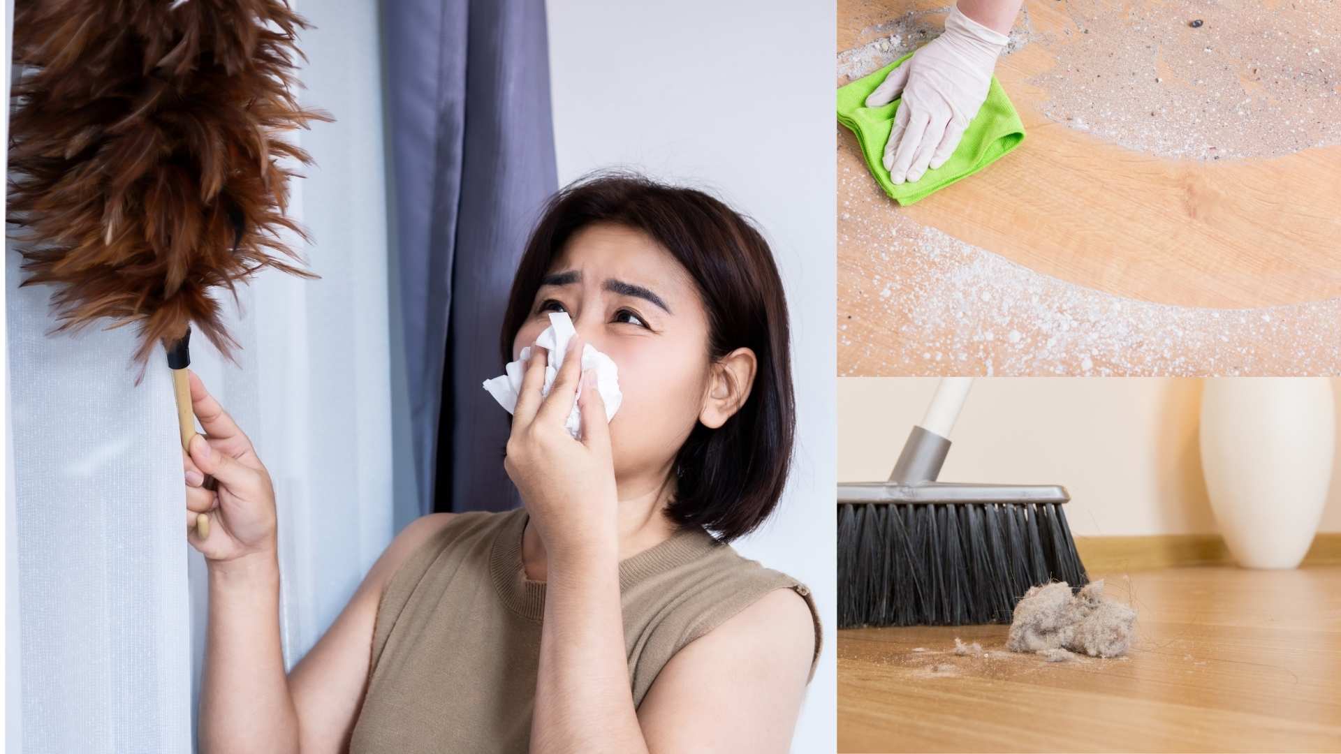 Cac bien phap phong ngua di ung bui. Do hoa: Minh Hoang