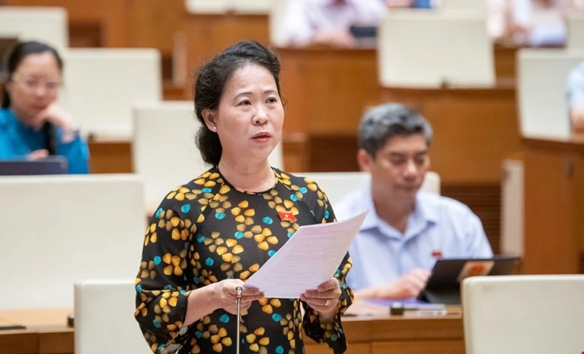 Dai bieu Quoc hoi To Ai Vang de nghi
