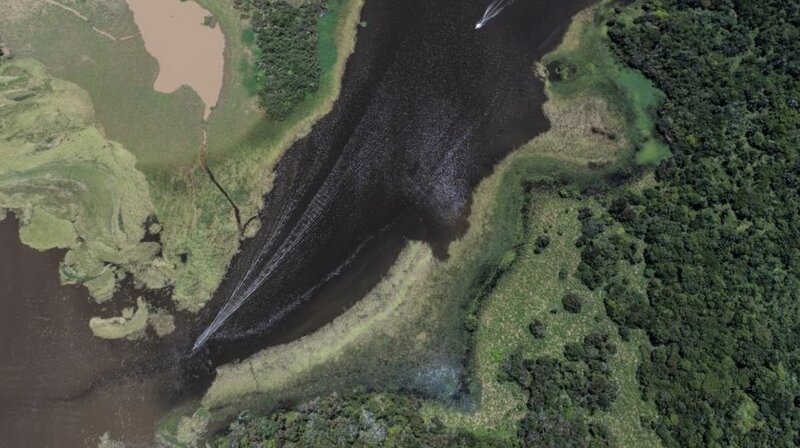 Una tribu aislada en el Bosque Amazonas demando al New York Times y algunos sitios de noticias por presuntamente adicto al porno. Foto: Xinhua