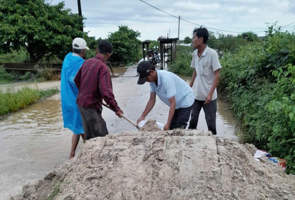 Las personas en el distrito de Hai Lang cubrieron diques para evitar que las inundaciones se inundan en los campos. Foto: Han Nguyen
