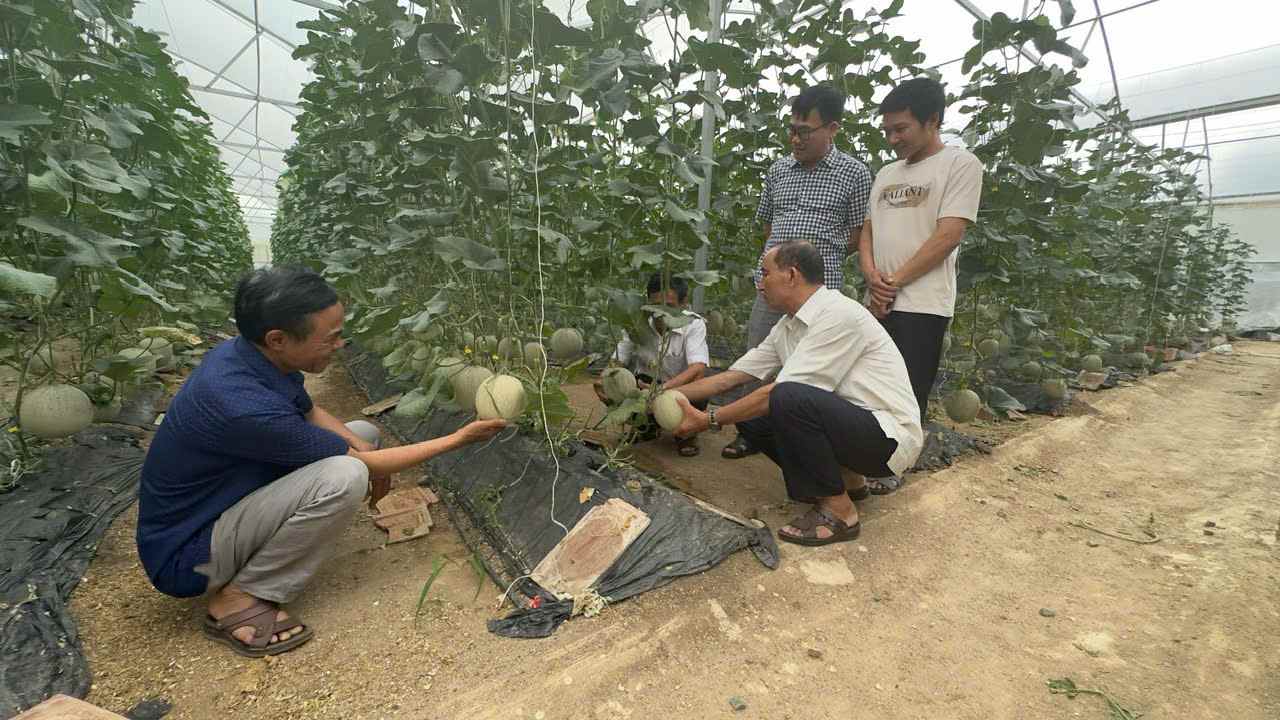 Người dân ở huyện được hướng dẫn kỹ thuật trồng trọt. Ảnh: Bảo Trung