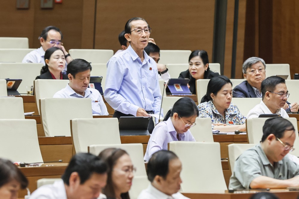 Dai bieu Tran Hoang Ngan. Anh: Pham Dong
