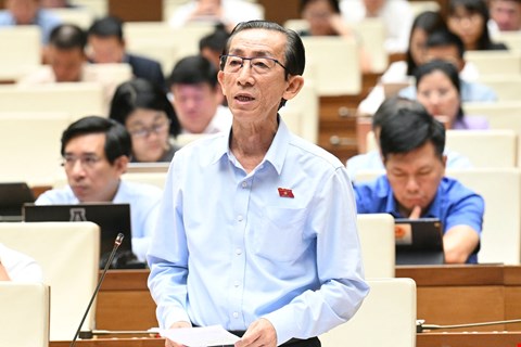 Dai bieu Tran Hoang Ngan phat bieu. Anh: Quochoi