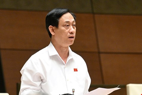 Dai bieu Mai Van Hai cho rang