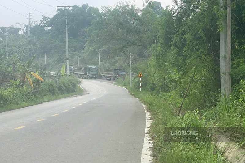 Xe tải vào điểm tập kết để vận chuyển quặng. Ảnh: Đinh Đại 