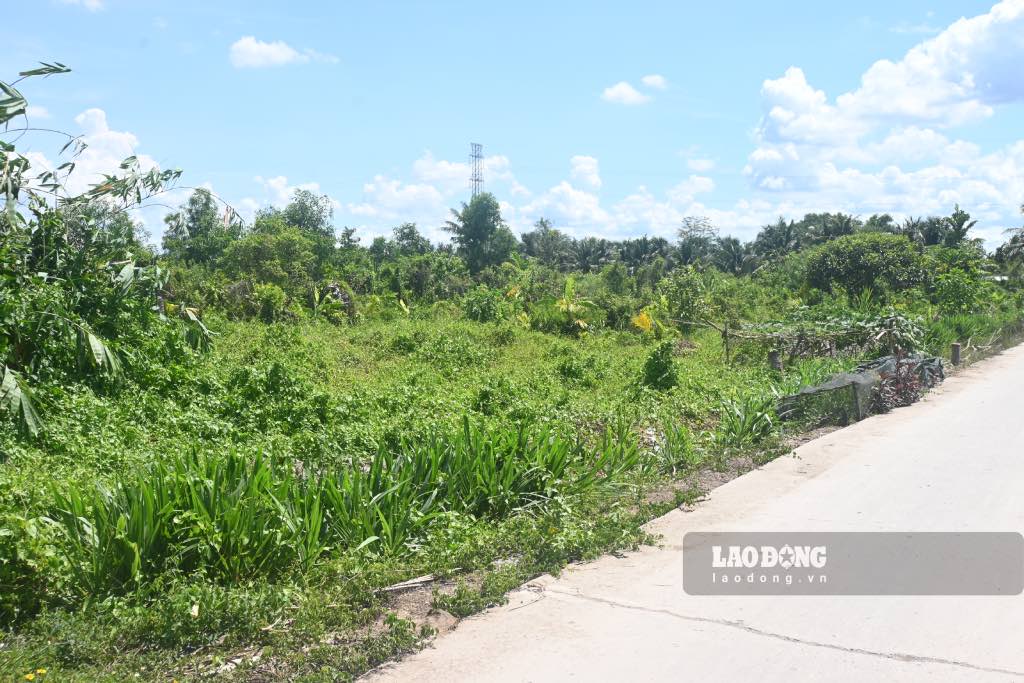 Khu dat de thuc hien Khu tai dinh cu du an cau Rach Mieu 2 o phia tinh Tien Giang. Anh: Thanh Nhan