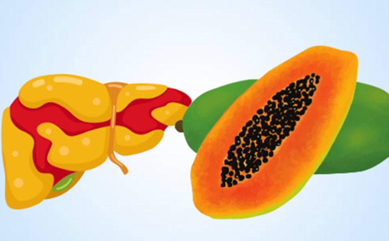 Fatty liver nen an qua nay