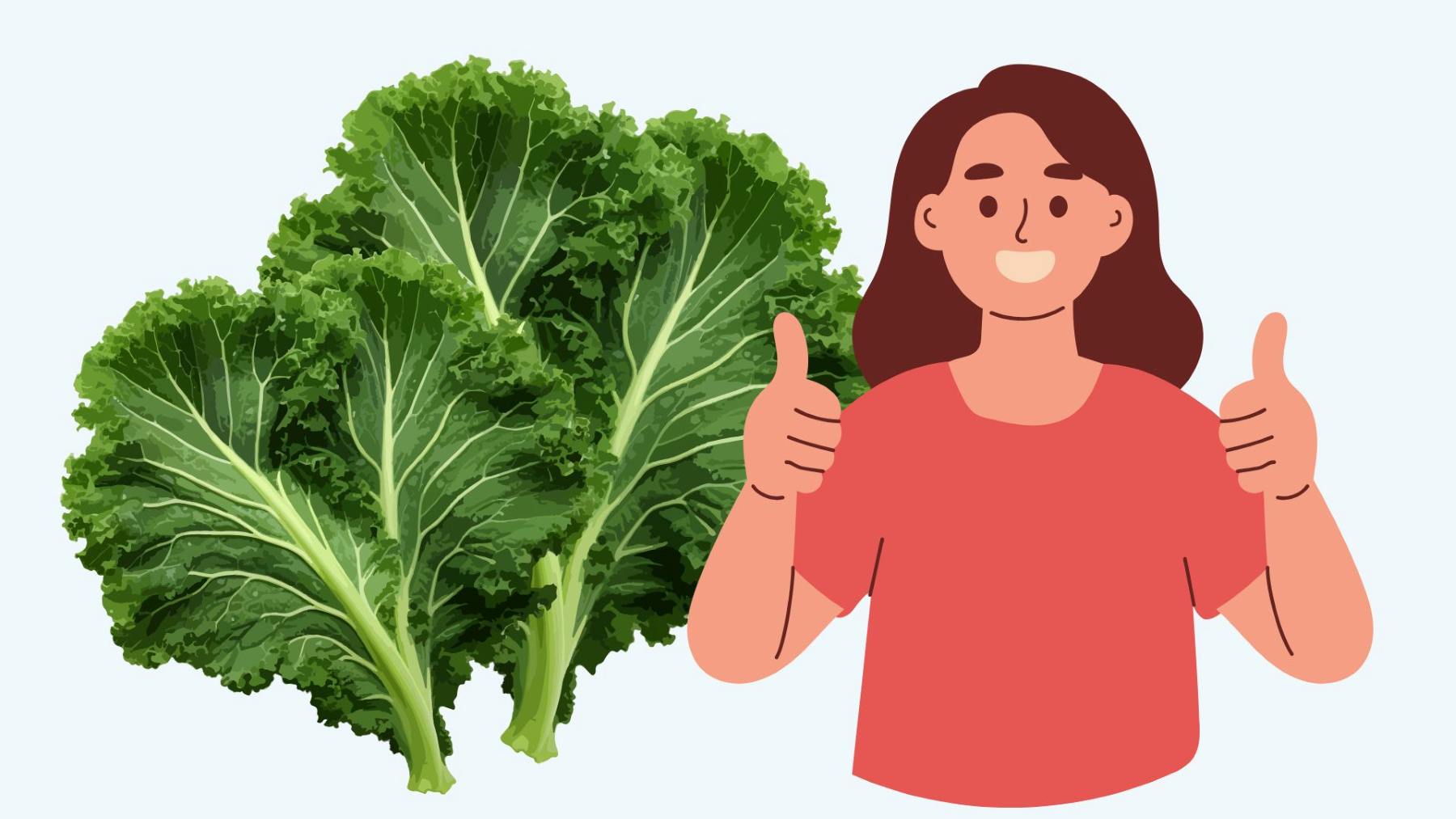 Eating kale every day is good for your health. Graphics: Thanh Thanh