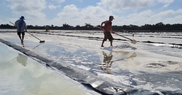 The 2025 salt crop is officially over. Photo: Nhat Ho