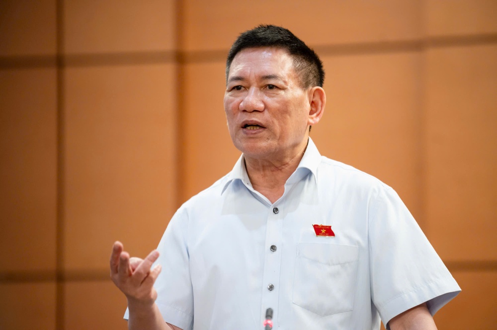 Member of the Party Central Committee, Deputy Prime Minister Ho Duc Phoc said that it is impossible to say that the province is rich because of good leadership. Photo: Pham Dong