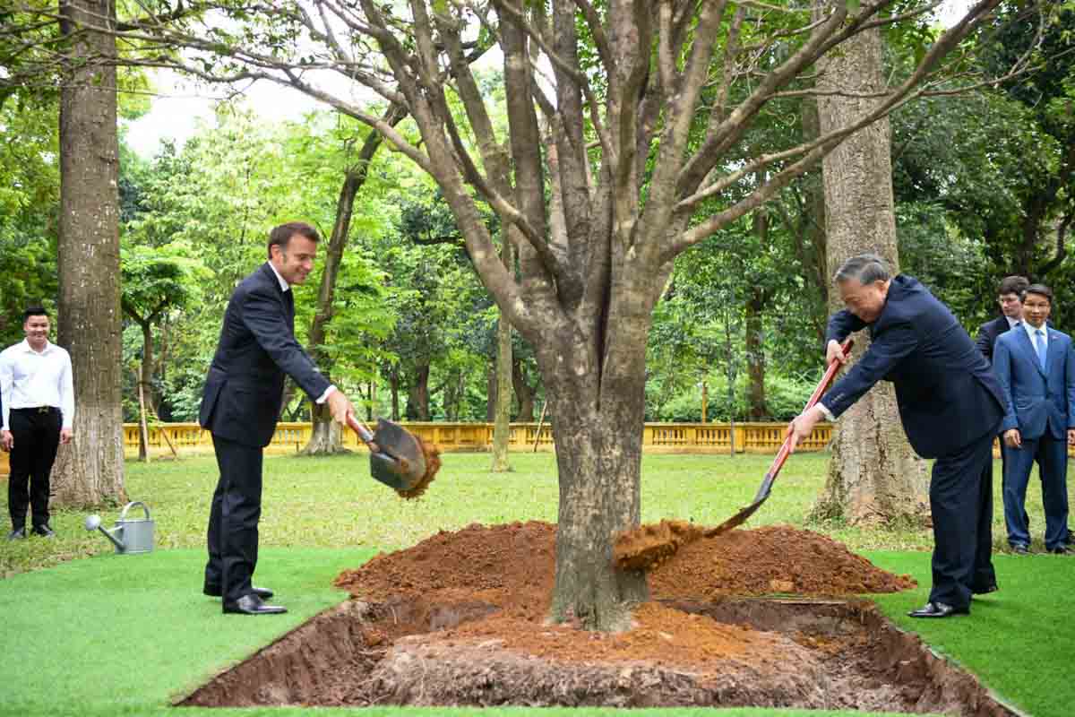 Tong Bi thu To Lam va Tong thong Phap Emmanuel Macron trong cay huu nghi trong khu Di tich Chu tich Ho Chi Minh. Anh: Hai Nguyen