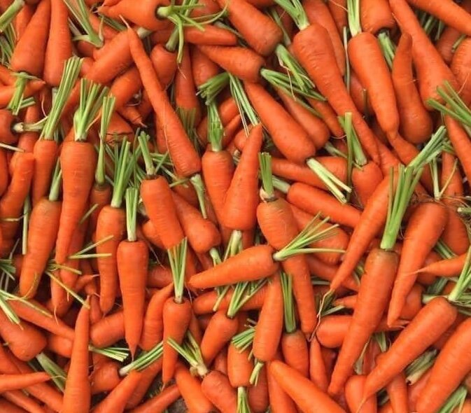 When processed properly, carrots can help regulate blood pressure. Photo: Kieu Vu