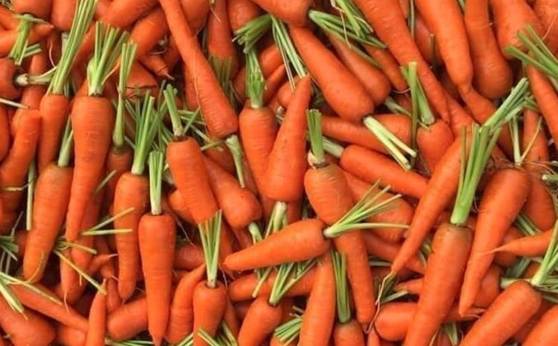 When processed properly, carrots can help regulate blood pressure. Photo: Kieu Vu