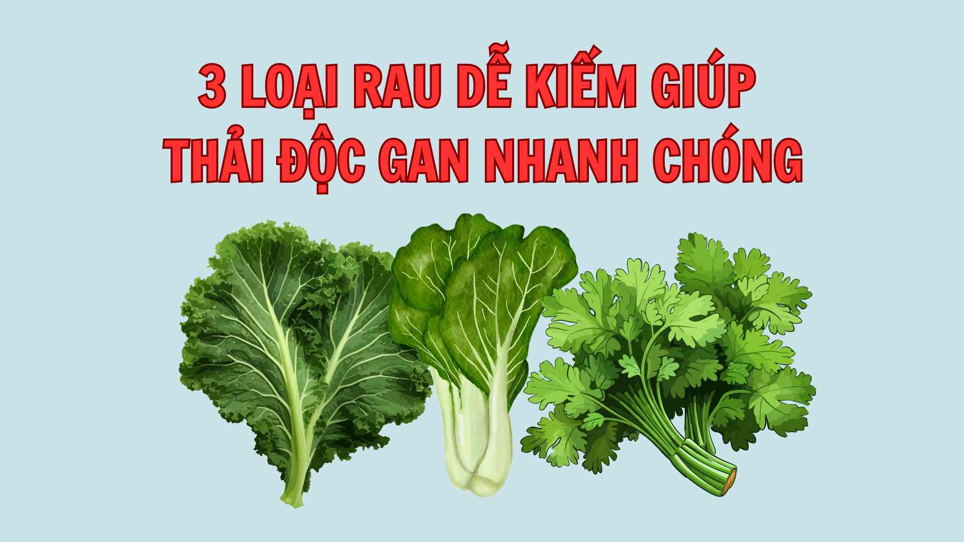 3 faciles de encontrar verduras para ayudar a desintoxicar el higado rapidamente