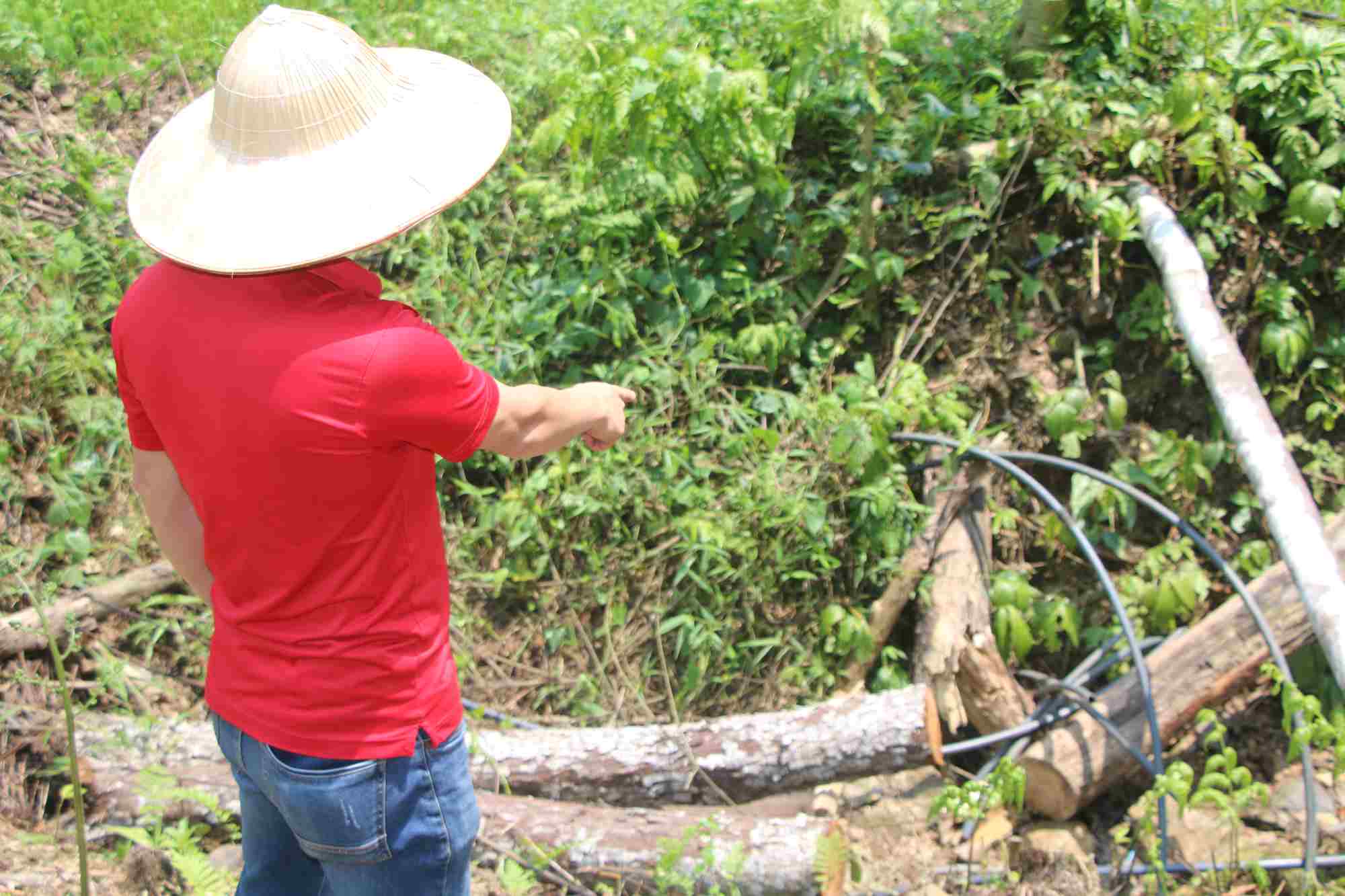 Người dân lo lắng khi nguồn nước đầu nguồn đang dần cạn kiệt. Ảnh: Nguyễn Hoàn.
