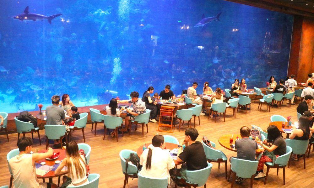 Tourists explore and experience tourism services in Phu Quoc. Photo: Xuan Nhi